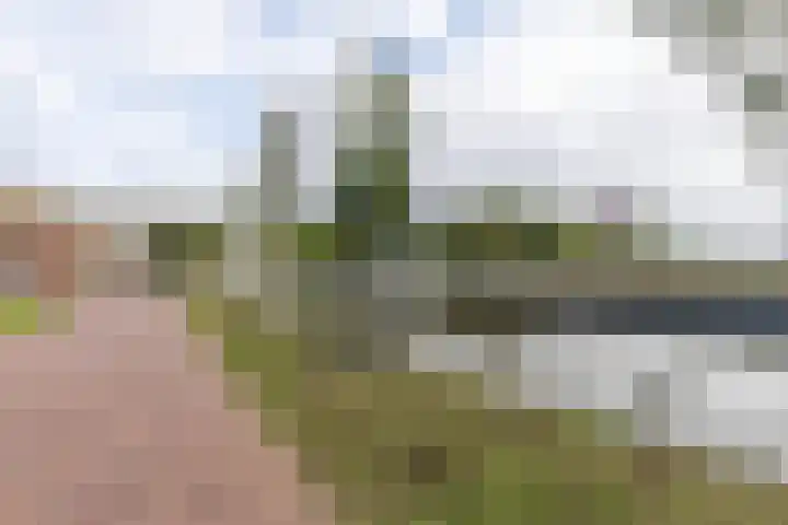 Winschoterdiep 185 Groningen thumbnail 8