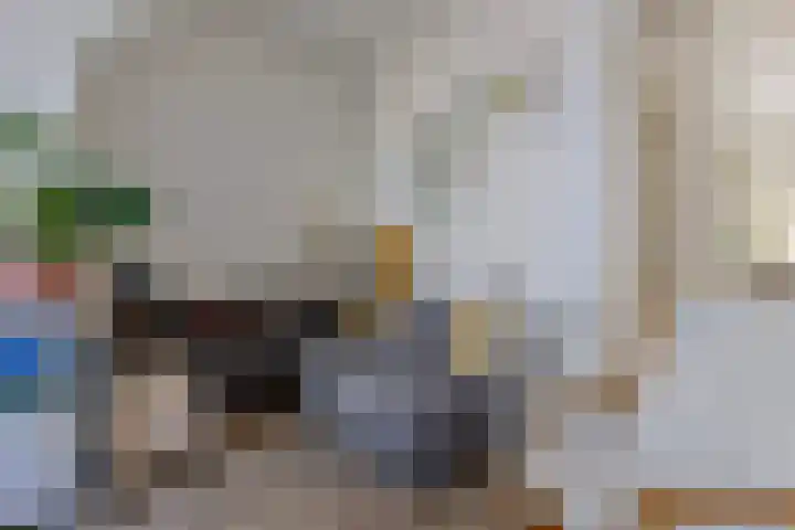 Winschoterdiep 35 Groningen thumbnail 10