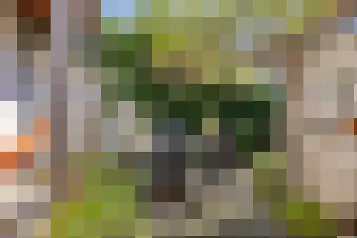 Winschoterdiep 35 Groningen thumbnail 23