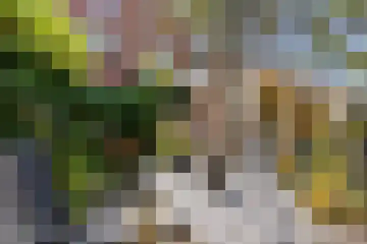 Winschoterdiep 35 Groningen thumbnail 25
