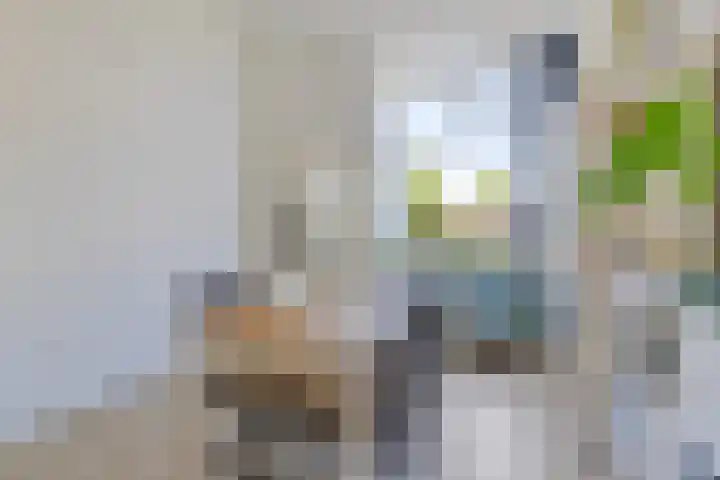 Winschoterdiep 35 Groningen thumbnail 8