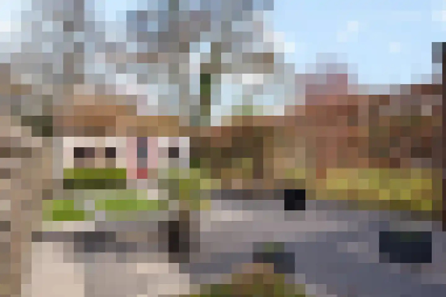 Winschoterdiep 41 Zuidbroek thumbnail 33