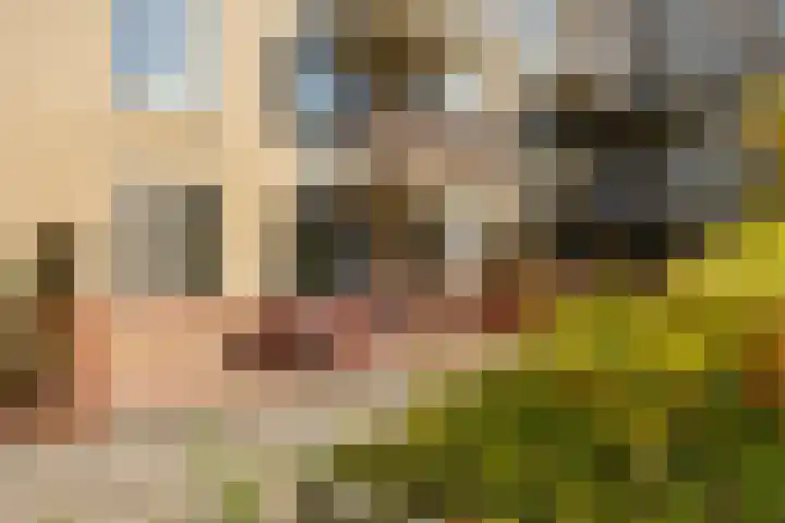 Winschoterdiep 71 a Groningen thumbnail 31