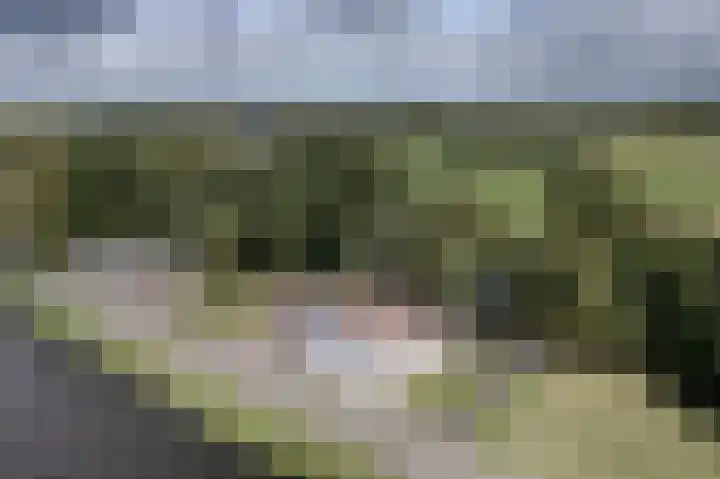 Winschoterweg 26 Waterhuizen thumbnail 10
