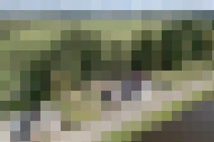 Winschoterweg 26 Waterhuizen thumbnail 12