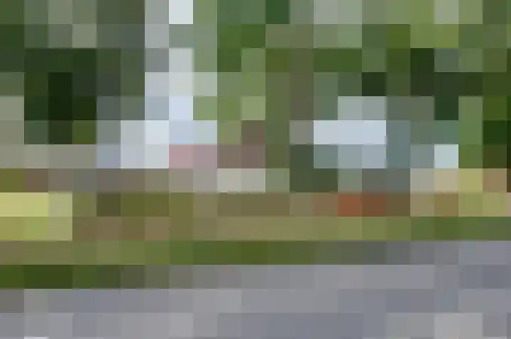 Winschoterweg 26 Waterhuizen thumbnail 13