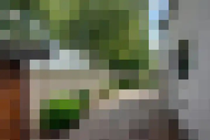 Winschoterweg 26 Waterhuizen thumbnail 17