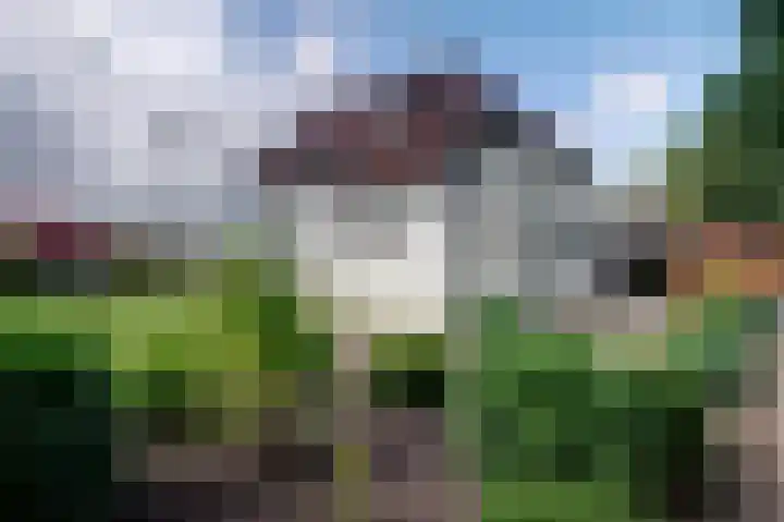 Winschoterweg 26 Waterhuizen thumbnail 19