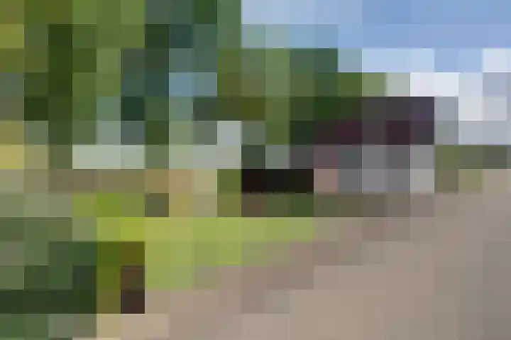 Winschoterweg 26 Waterhuizen thumbnail 6