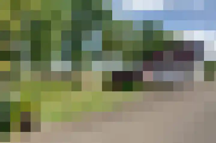 Winschoterweg 26 Waterhuizen thumbnail 7