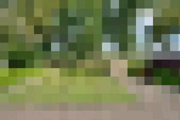 Winschoterweg 26 Waterhuizen thumbnail 8