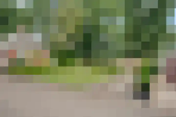 Winschoterweg 26 Waterhuizen thumbnail 9