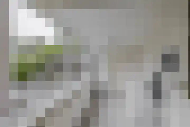 Winschoterweg 6 A Oude Pekela thumbnail 15