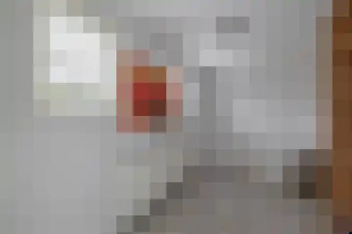 Winschoterweg 6 A Oude Pekela thumbnail 17