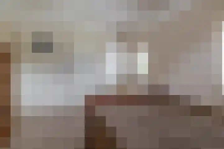 Winschoterweg 6 A Oude Pekela thumbnail 22
