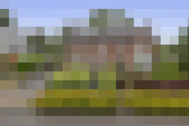 Winschoterweg 6 A Oude Pekela thumbnail 28