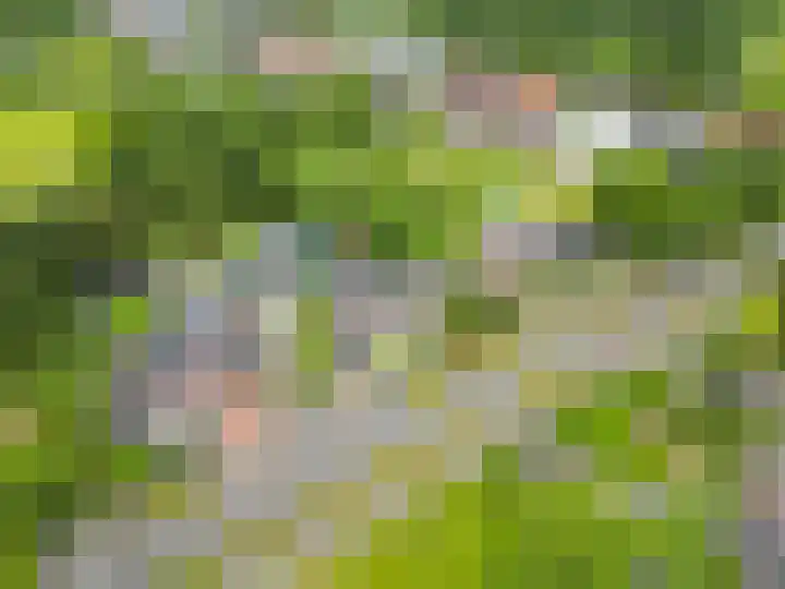 Winschoterweg 6 A Oude Pekela thumbnail 30
