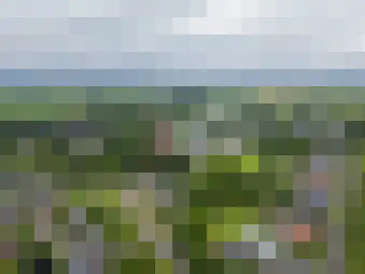 Winschoterweg 6 A Oude Pekela thumbnail 31
