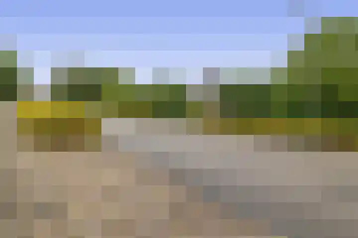 Winschoterweg 6 A Oude Pekela thumbnail 34