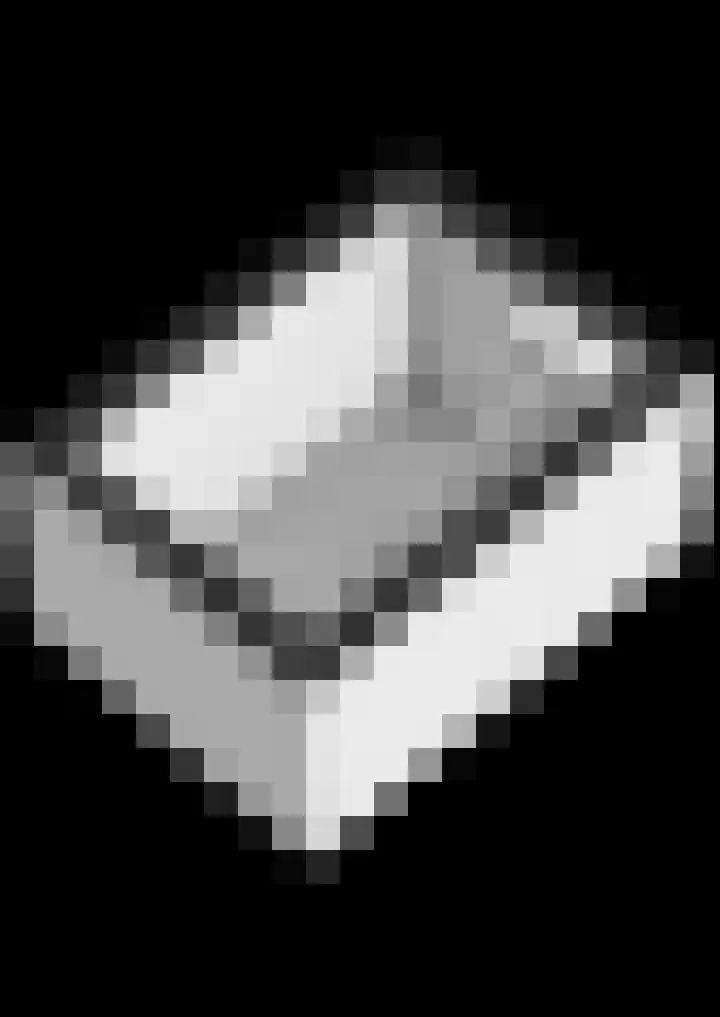 Winschoterweg 6 A Oude Pekela thumbnail 43