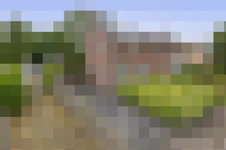 Winschoterweg 6 A Oude Pekela thumbnail 6