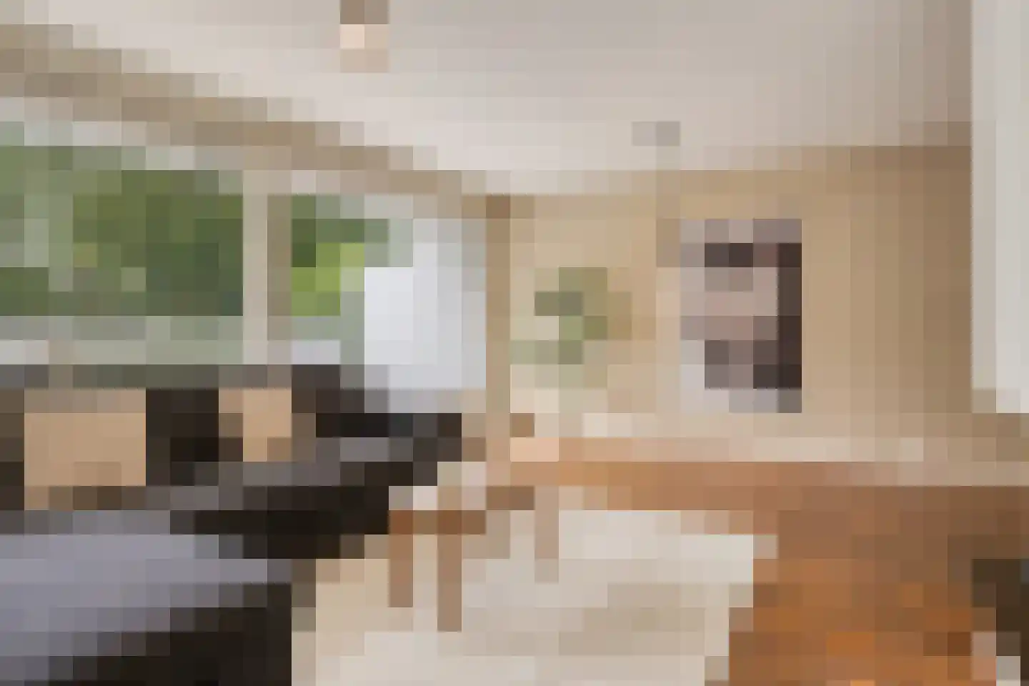 Winselerhof 22 Eindhoven thumbnail 17