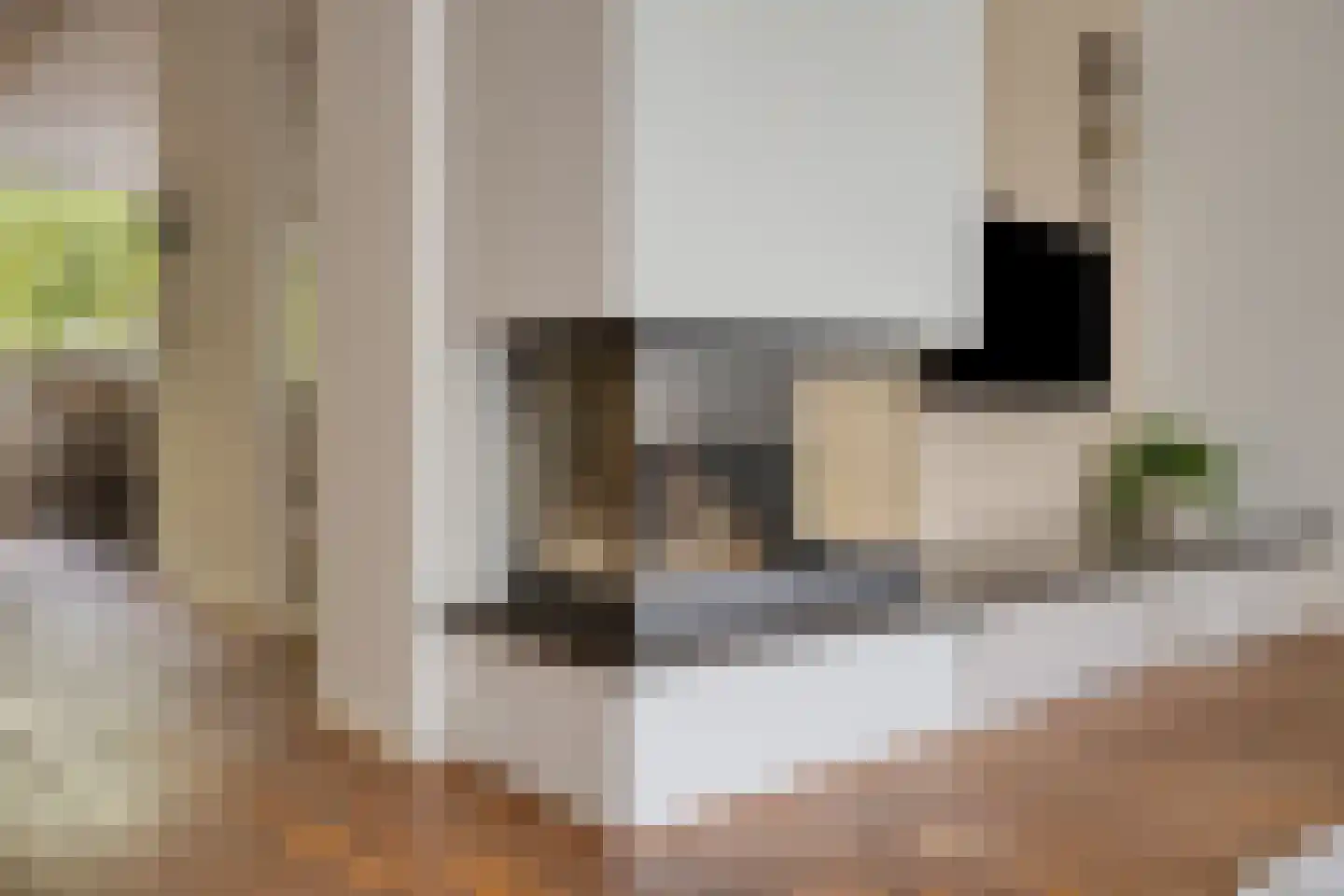 Winselerhof 22 Eindhoven thumbnail 18