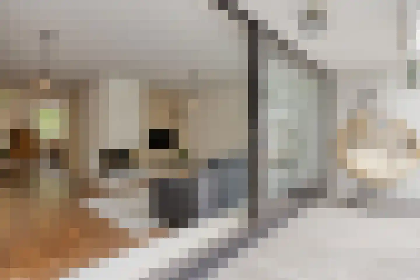 Winselerhof 22 Eindhoven thumbnail 19