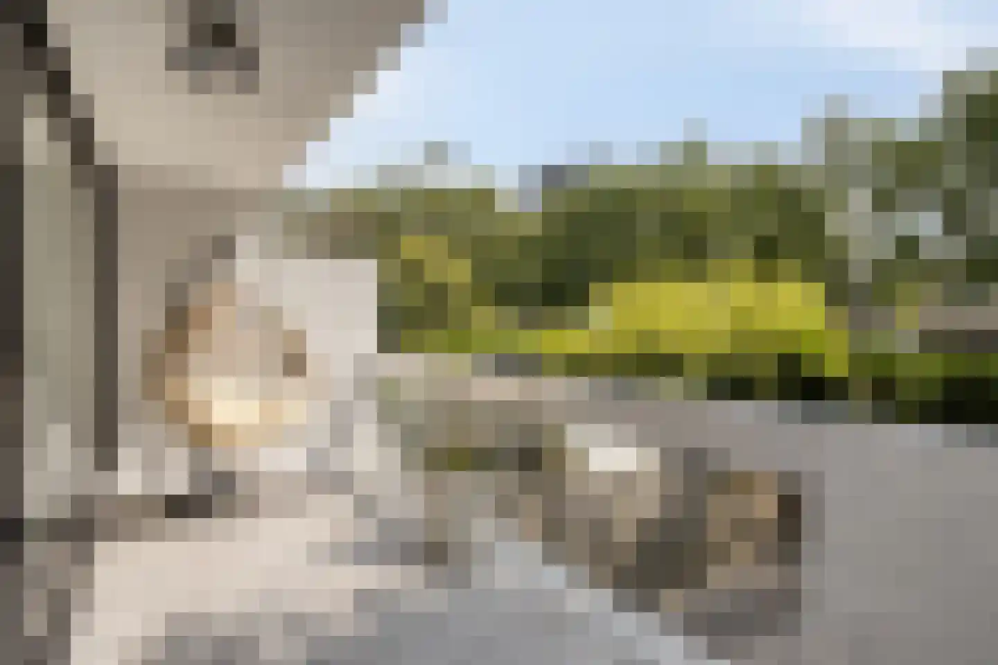 Winselerhof 22 Eindhoven thumbnail 20