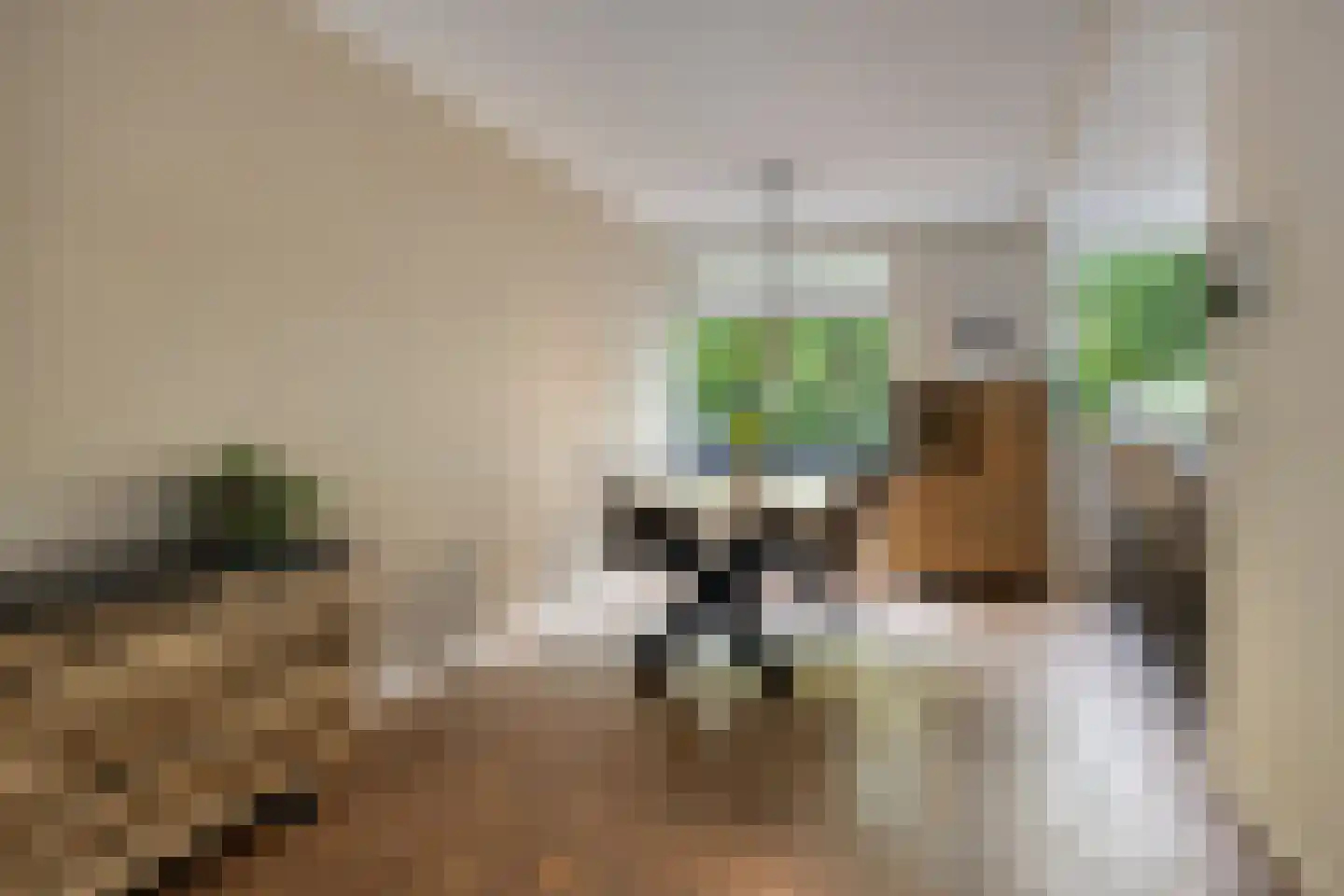 Winselerhof 22 Eindhoven thumbnail 21