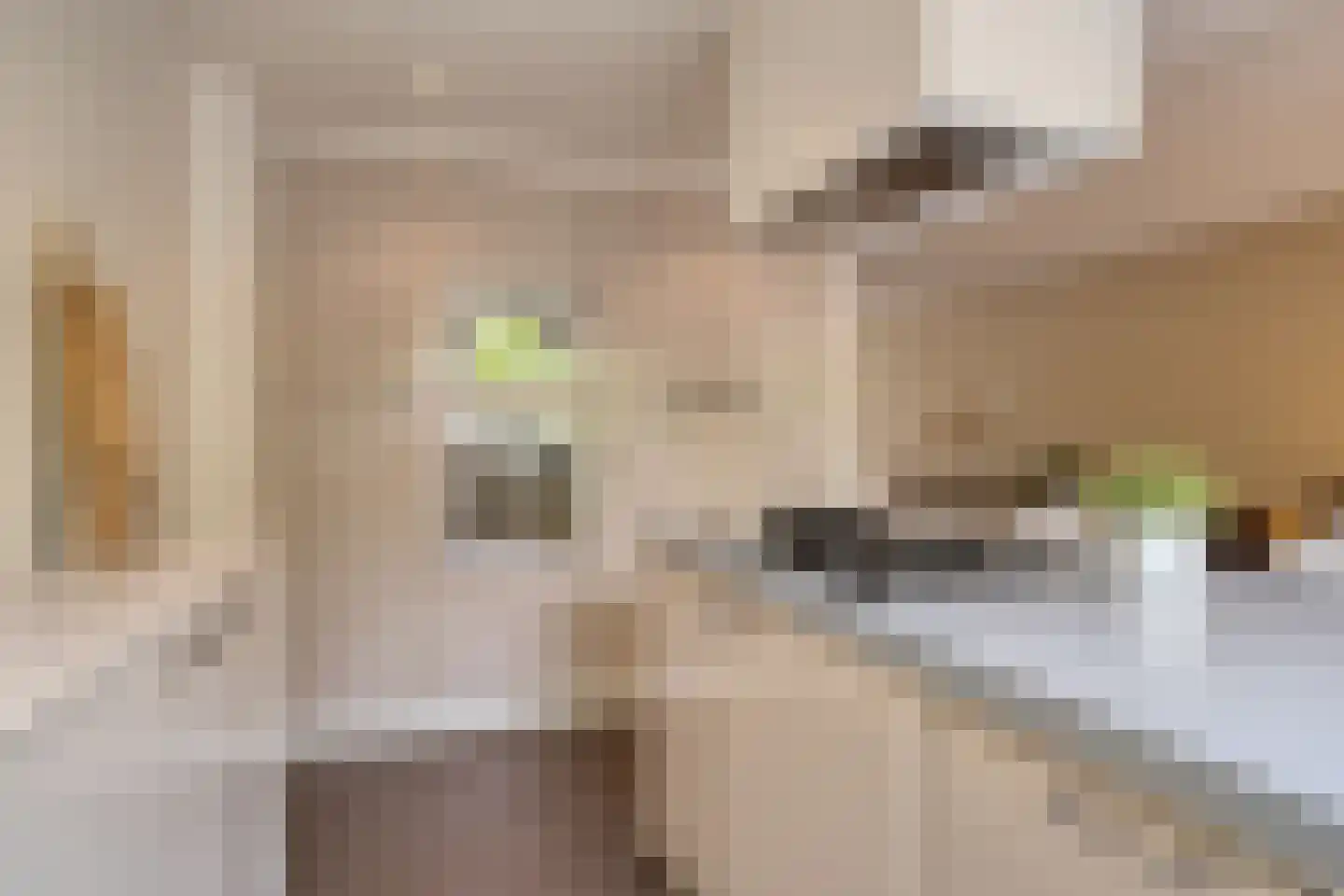 Winselerhof 22 Eindhoven thumbnail 24