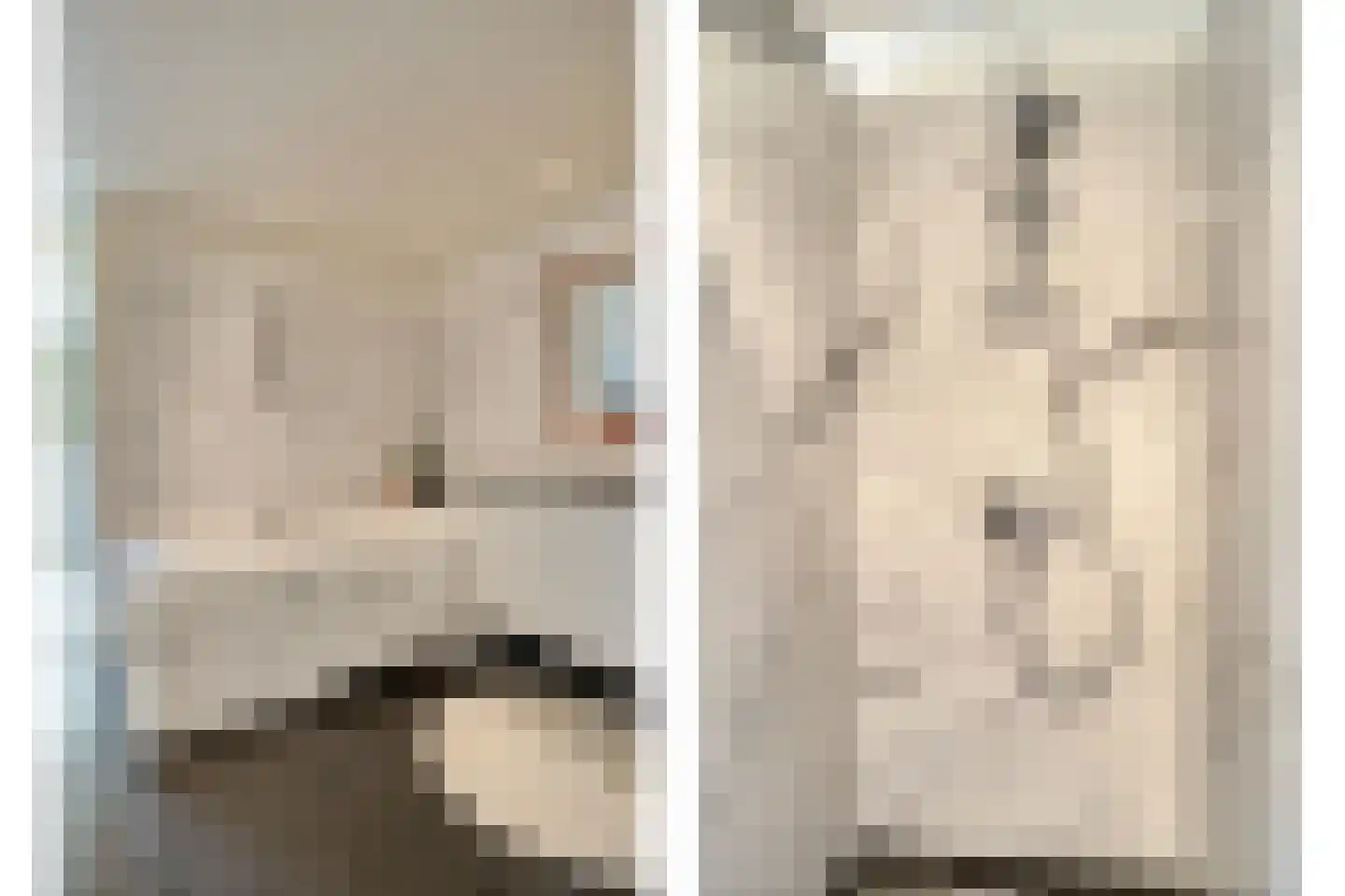 Winselerhof 22 Eindhoven thumbnail 31