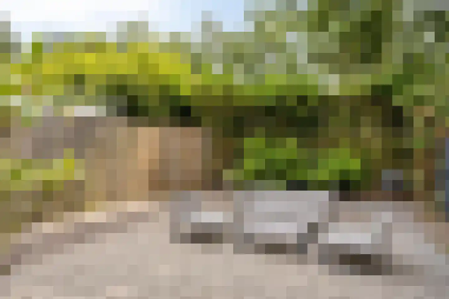 Winselerhof 22 Eindhoven thumbnail 35
