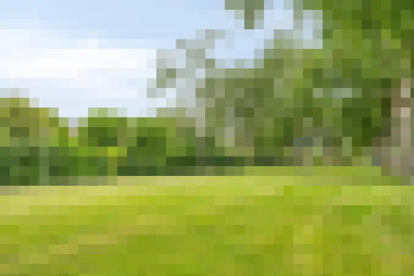 Winselerhof 22 Eindhoven thumbnail 41