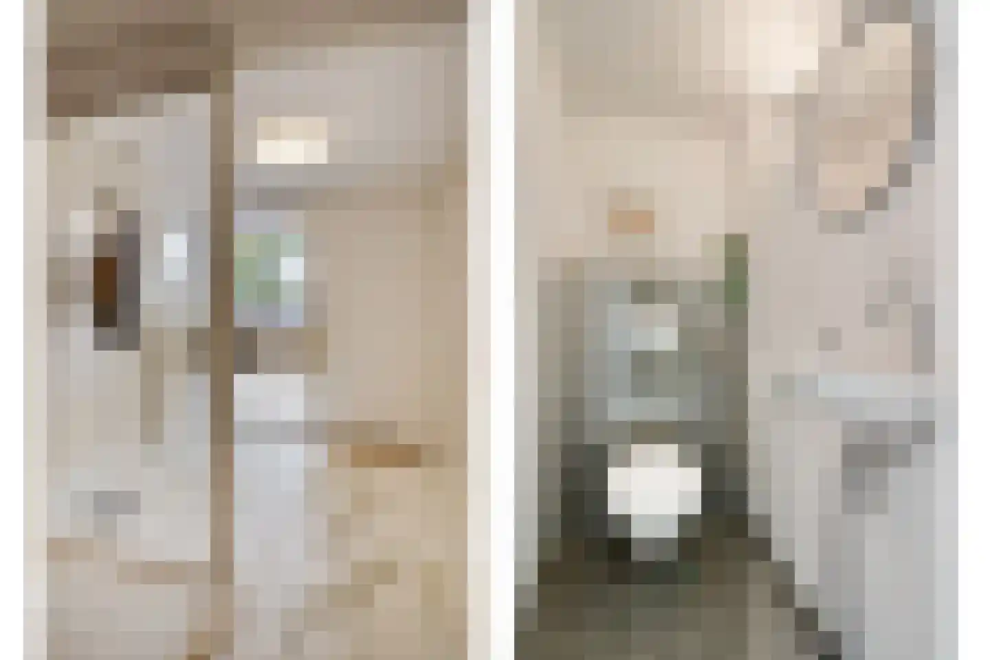Winselerhof 22 Eindhoven thumbnail 8