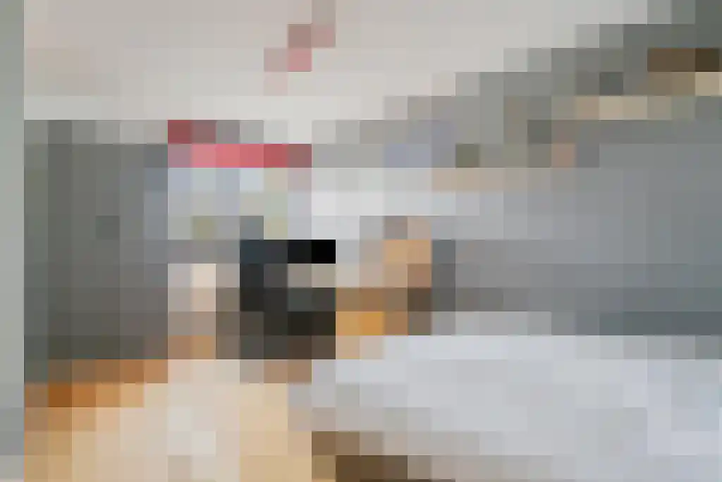 Winselerhof 5 Eindhoven thumbnail 31