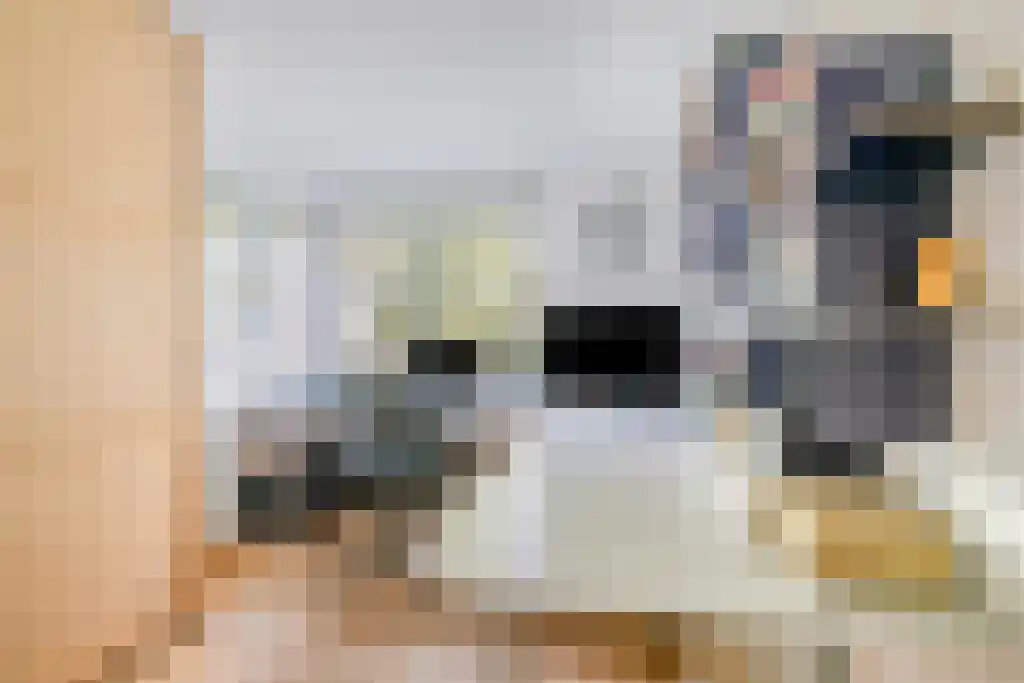 Winselerhof 5 Eindhoven thumbnail 33