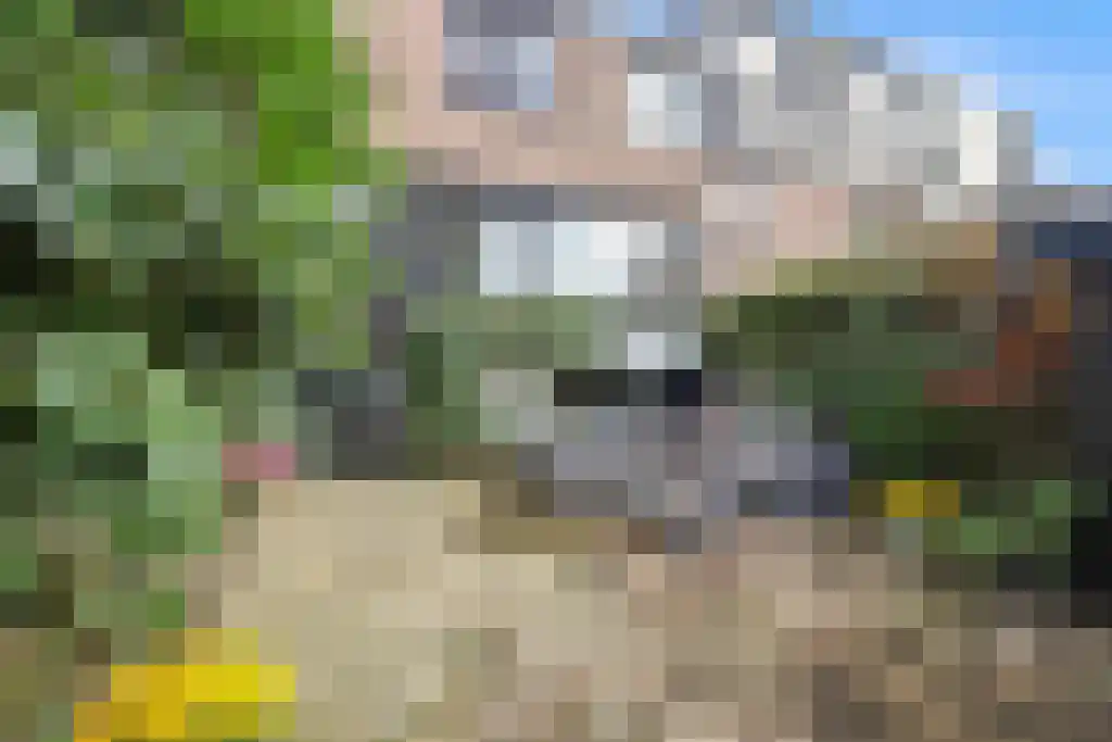 Winselerhof 5 Eindhoven thumbnail 40