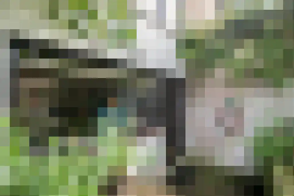 Winselerhof 5 Eindhoven thumbnail 42