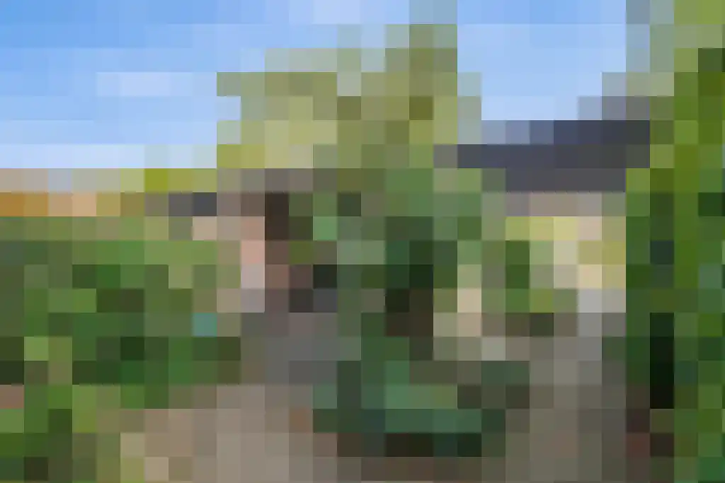 Winselerhof 5 Eindhoven thumbnail 43
