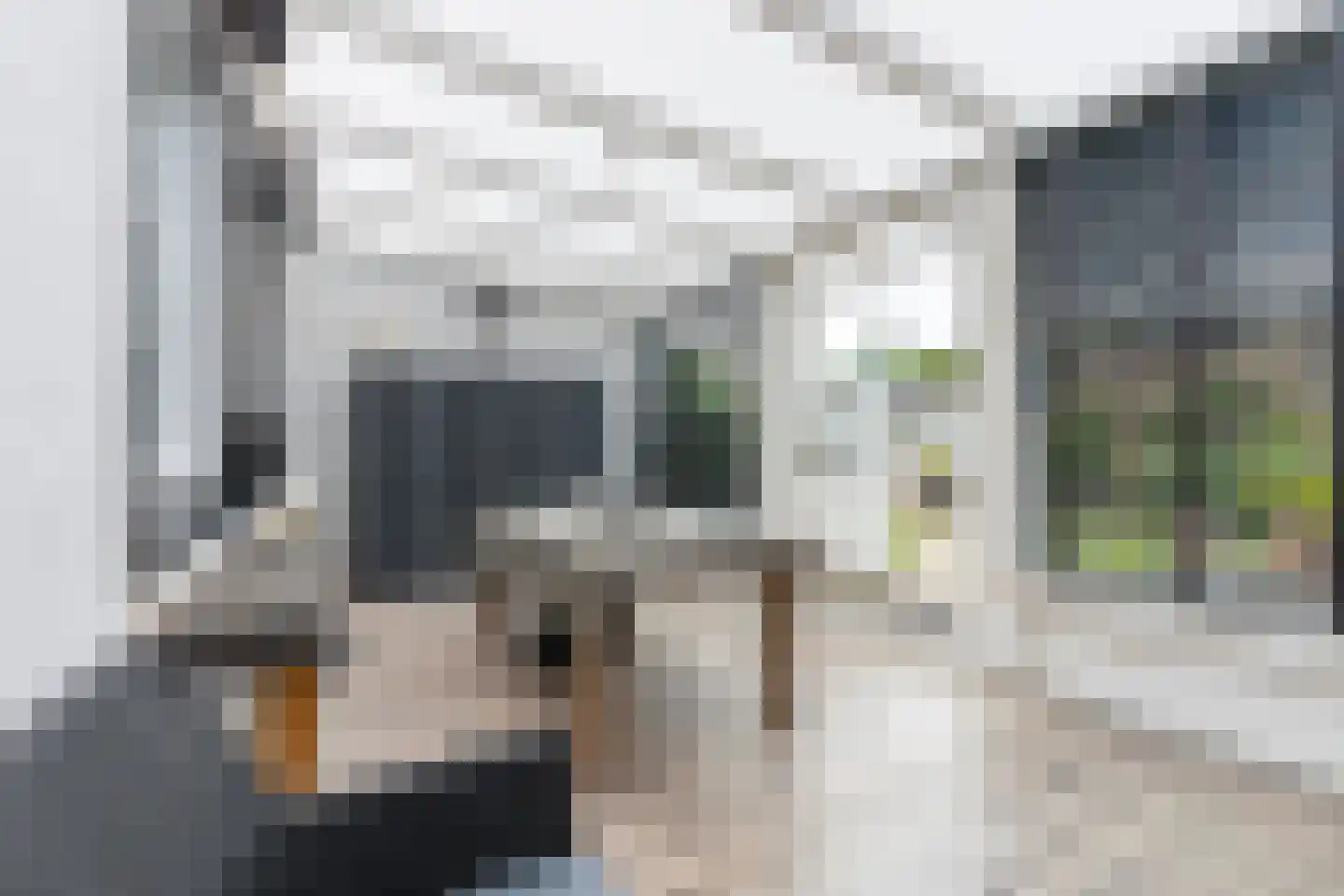Winselerhofstraat 19 Kerkrade thumbnail 19