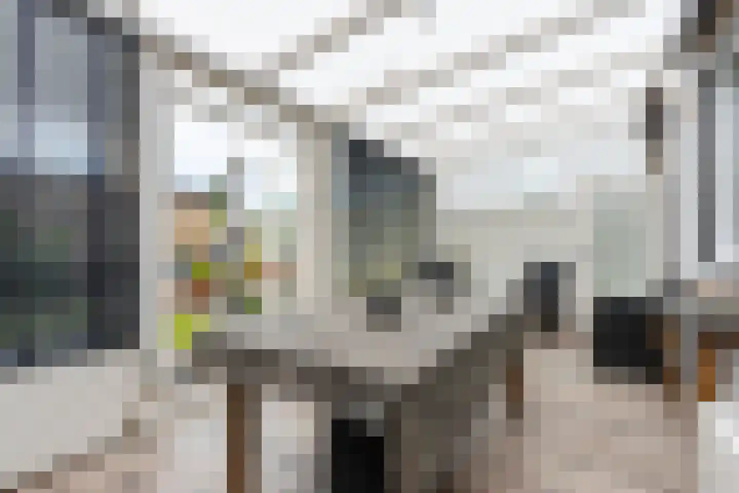 Winselerhofstraat 19 Kerkrade thumbnail 20
