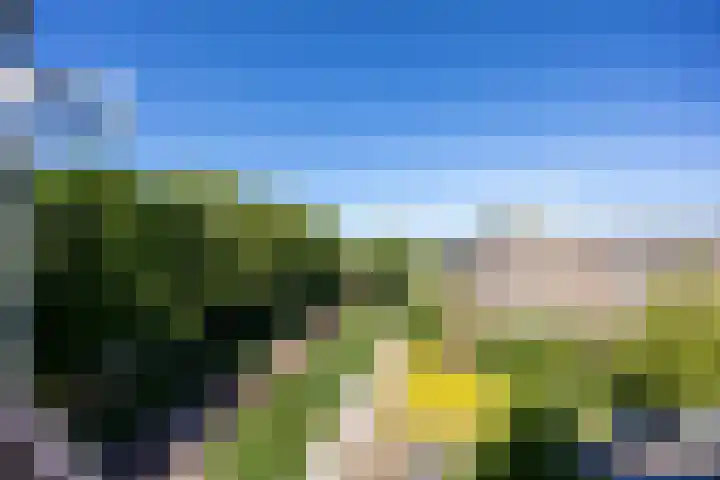 Winselingseweg 2 R Nijmegen thumbnail 10