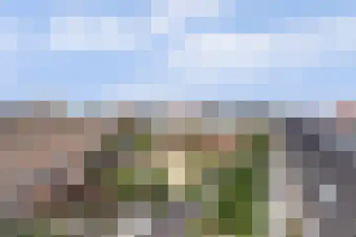 Winselingseweg 2 R Nijmegen thumbnail 16