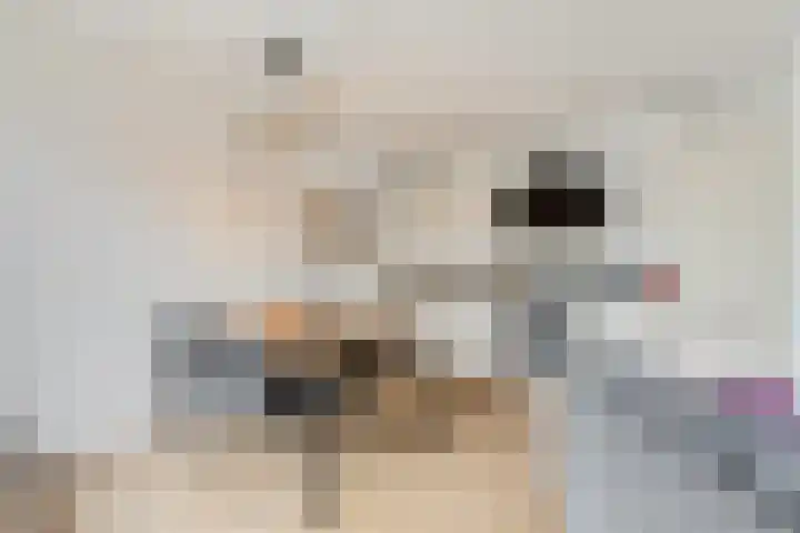 Winselingseweg 2 R Nijmegen thumbnail 17
