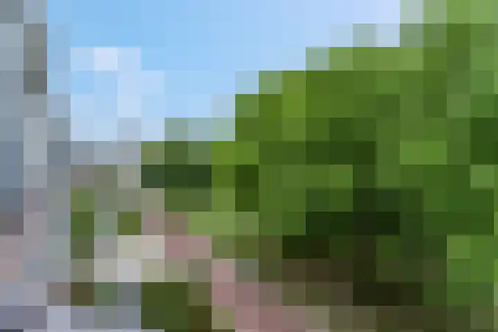 Winselingseweg 2 R Nijmegen thumbnail 25