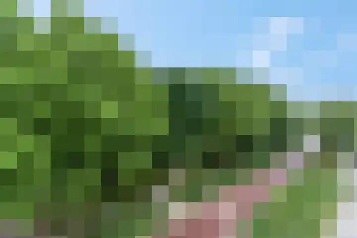 Winselingseweg 2 R Nijmegen thumbnail 26