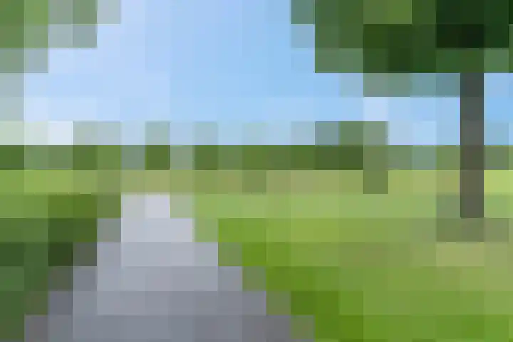 Winselingseweg 2 R Nijmegen thumbnail 33