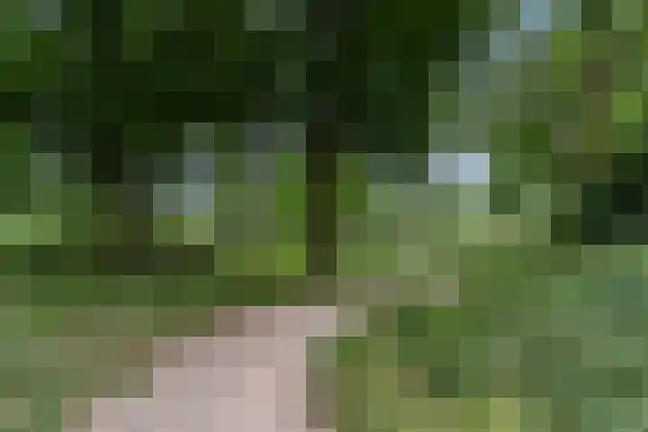 Winselingseweg 2 R Nijmegen thumbnail 36