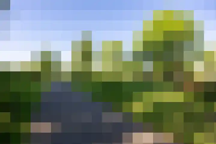 Winselingseweg 2 R Nijmegen thumbnail 37